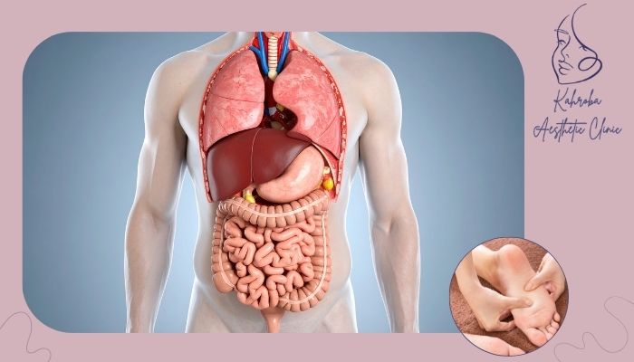 ارتباط تحریک عضلات با بهبود عملکرد اندام های داخلی 